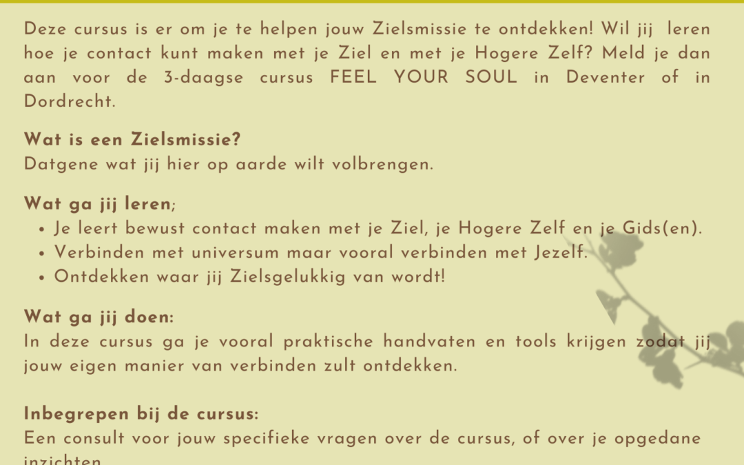 3-daagse Zielsmissie cursus – Feel Your Soul